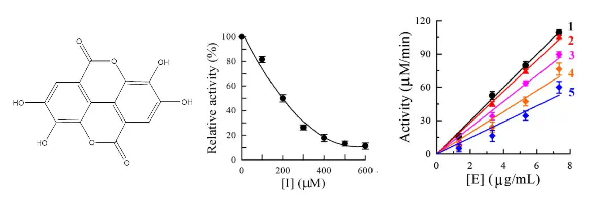 Ellagic Acid Powder Factory.jpg